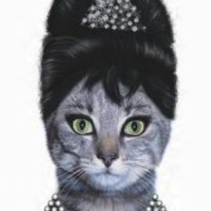 Meet your Posher, Michele